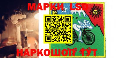 бошки Шахты