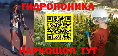 бошки Шахты