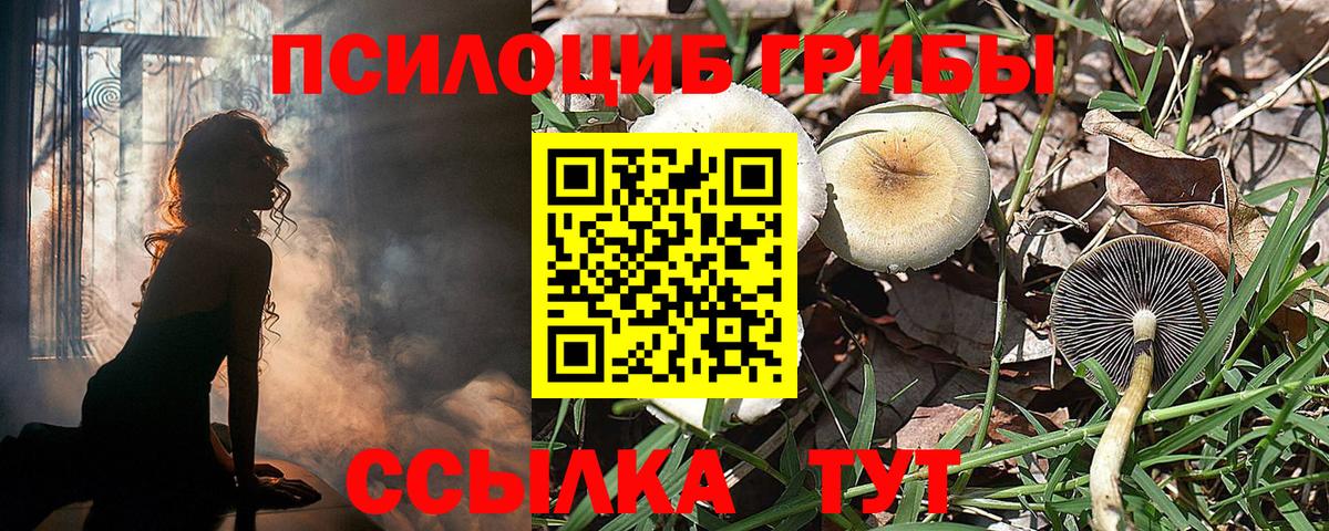 Димитровград  Псилоцибиновые грибы мухоморы  Галлюциногенные грибы ЛСД  Вход с VPN 