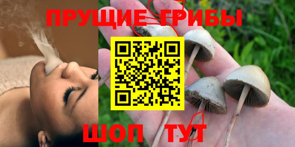 Галлюциногенные грибы Cubensis Димитровград